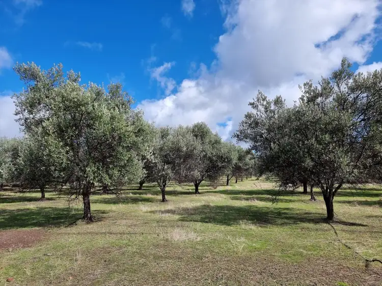 Third view of Homely land listing, 25 Kaufmann Close, Boyup Brook WA 6244
