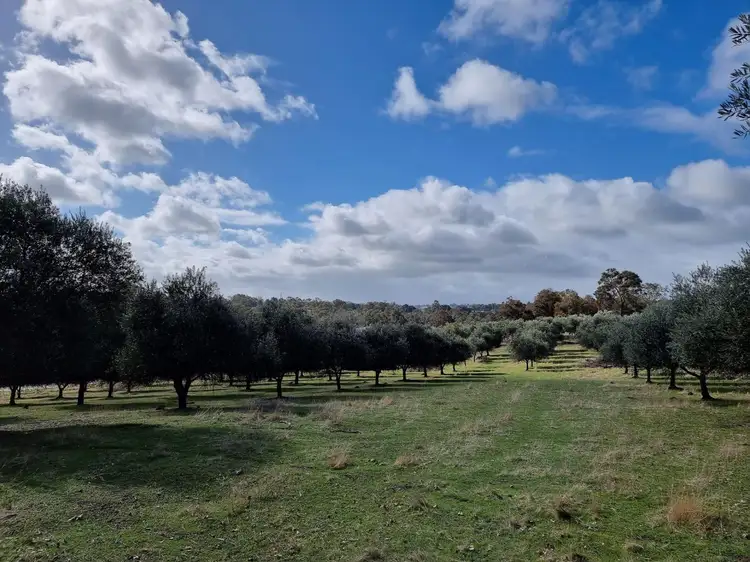 Fifth view of Homely land listing, 25 Kaufmann Close, Boyup Brook WA 6244