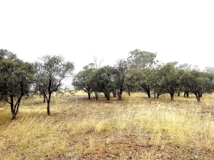 Fourth view of Homely land listing, Lot 78, Bejoording Road, Bejoording WA 6566