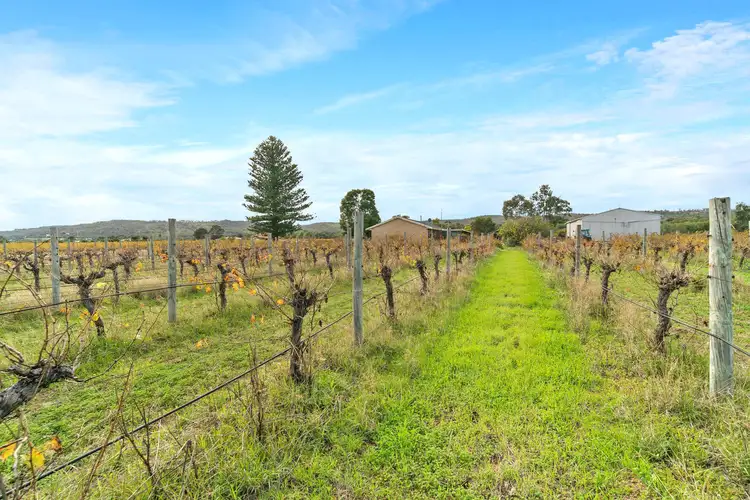 Seventh view of Homely house listing, 270 Dalgety Road, Middle Swan WA 6056