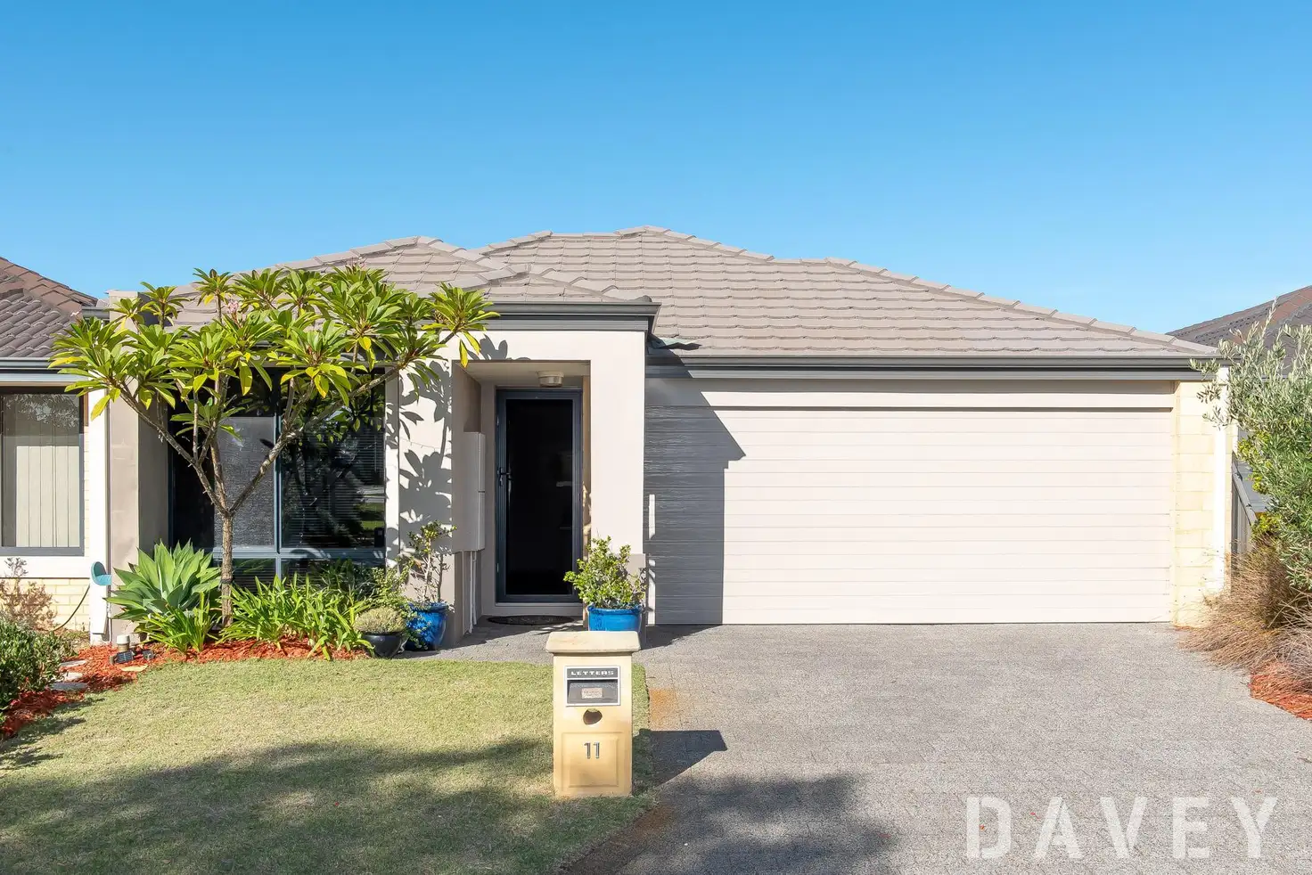Main view of Homely house listing, 11 Bentham Turn, Banksia Grove WA 6031