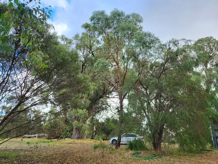 192 Wandoo Drive, Baldivis WA 6171