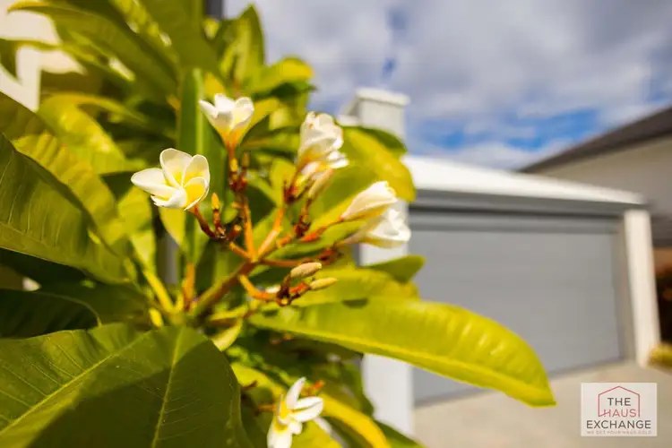 Main view of Homely villa listing, 181 Sackville Terrace, Doubleview WA 6018