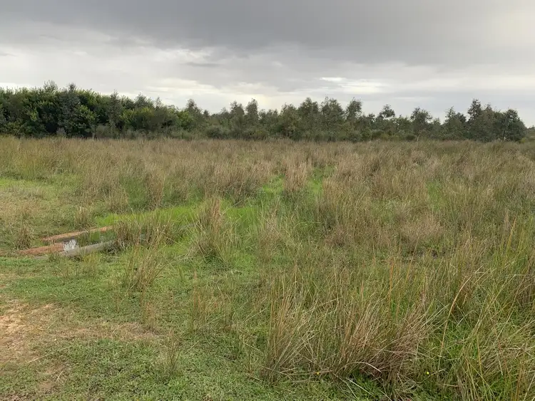 Third view of Homely rural property listing, Lot 101 Morris Road, The Plains WA 6237