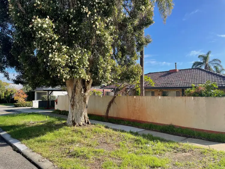 Second view of Homely house listing, 25 Daley Street, Yokine WA 6060