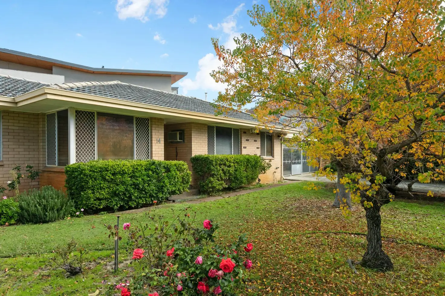 Main view of Homely house listing, 14 Park Road, Mount Pleasant WA 6153