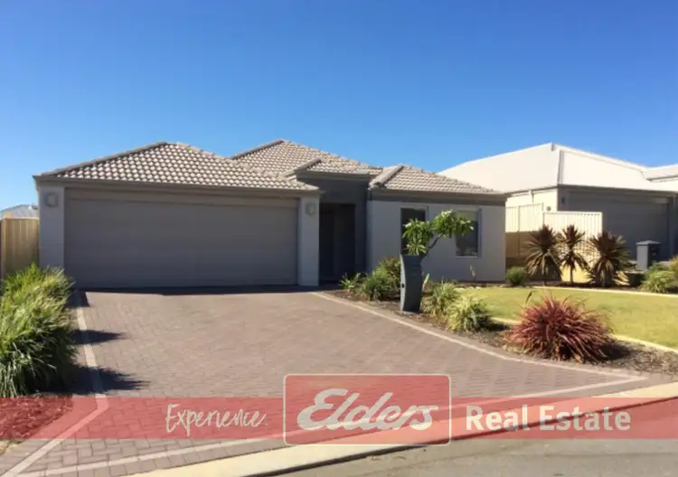 Main view of Homely house listing, 31 Wanderer Parkway, Baldivis WA 6171