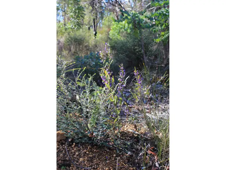 Seventh view of Homely land listing, 1695 Alice Road, Mount Helena WA 6082