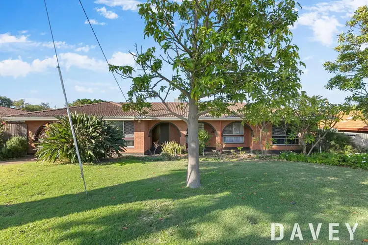 18 Marton Road, Balcatta WA 6021