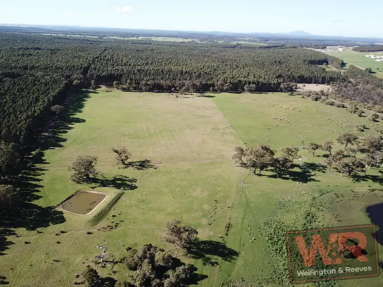 Second view of Homely rural property listing, 64 Sixpenny Road, Porongurup WA 6324