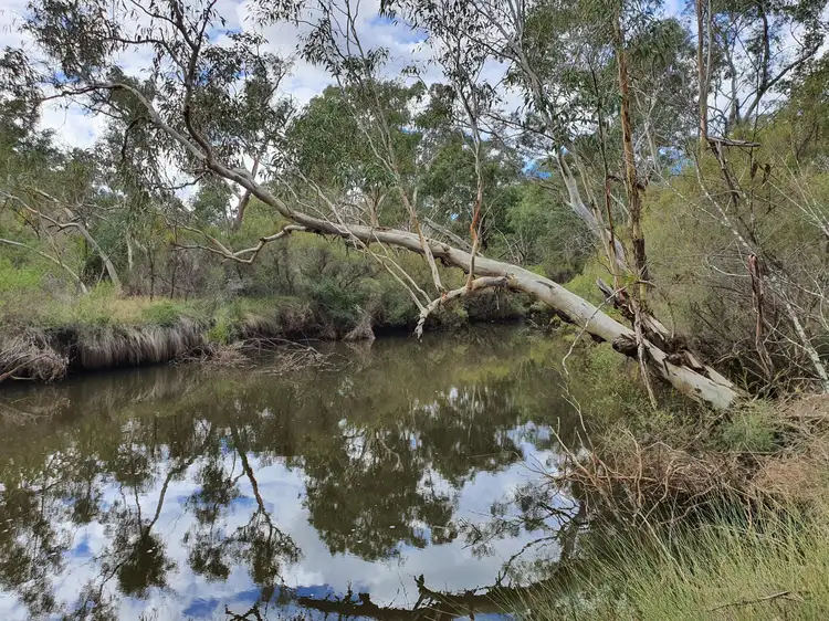 Second view of Homely rural property listing, Lot 1, Mogumber West Road, Red Gully WA 6503