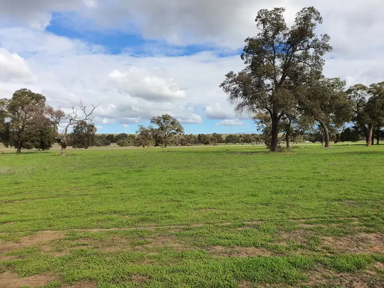 Sixth view of Homely rural property listing, Lot 1, Mogumber West Road, Red Gully WA 6503