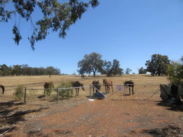 Main view of Homely land listing, Lot 172, 10 Wanju Drive, Wundowie WA 6560