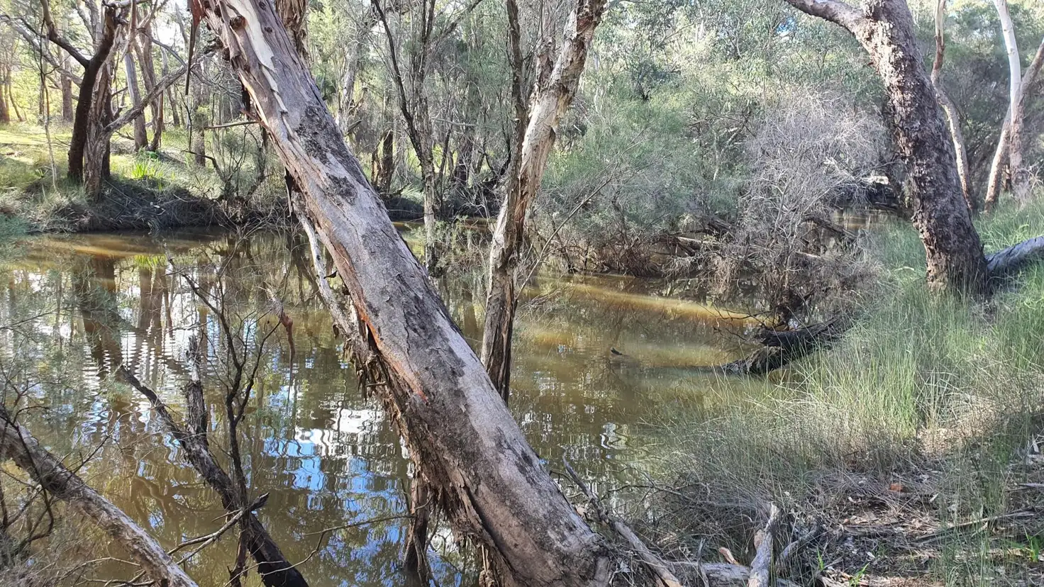 Main view of Homely rural property listing, Lot 11, Mogumber West Road, Red Gully WA 6503