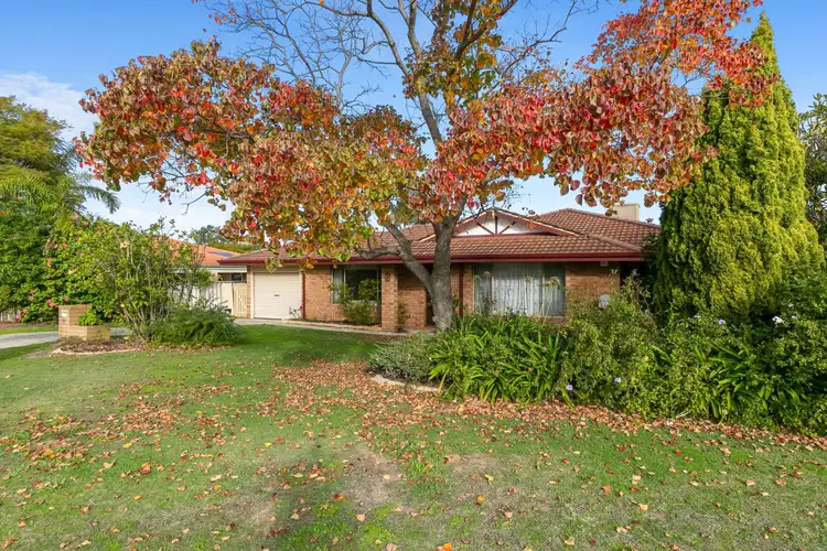 11 Underwood Grove, Kardinya WA 6163