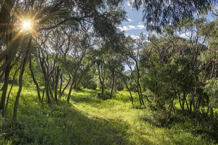 Third view of Homely land listing, 39 Grunters Way, Gnarabup WA 6285