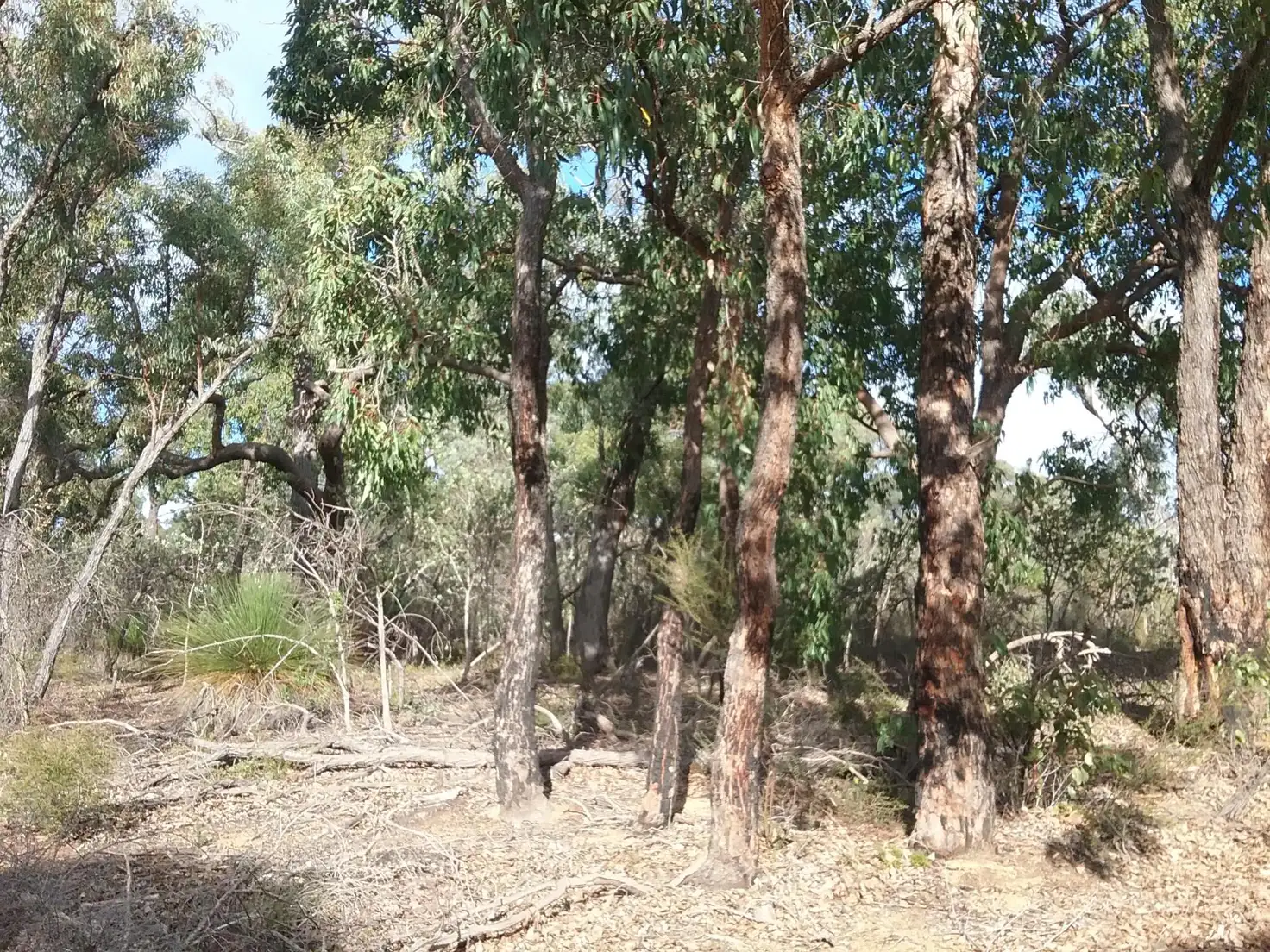Main view of Homely land listing, 130 Powder Bark Rd, Toodyay WA 6566