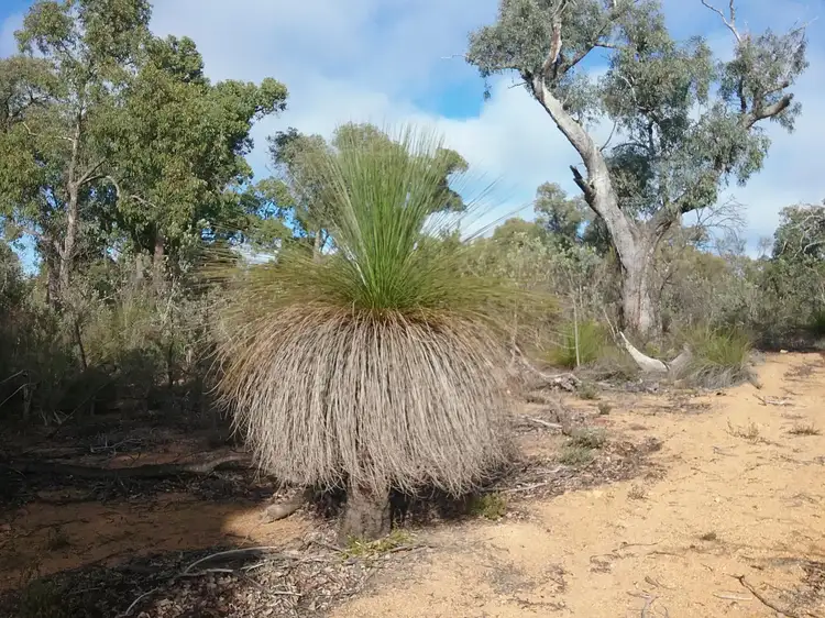 Second view of Homely land listing, 130 Powder Bark Rd, Toodyay WA 6566