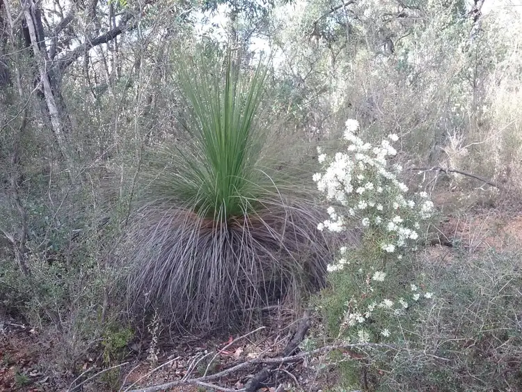 Third view of Homely land listing, 130 Powder Bark Rd, Toodyay WA 6566