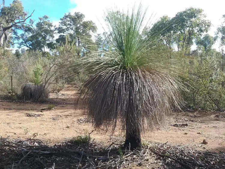 Fourth view of Homely land listing, 130 Powder Bark Rd, Toodyay WA 6566