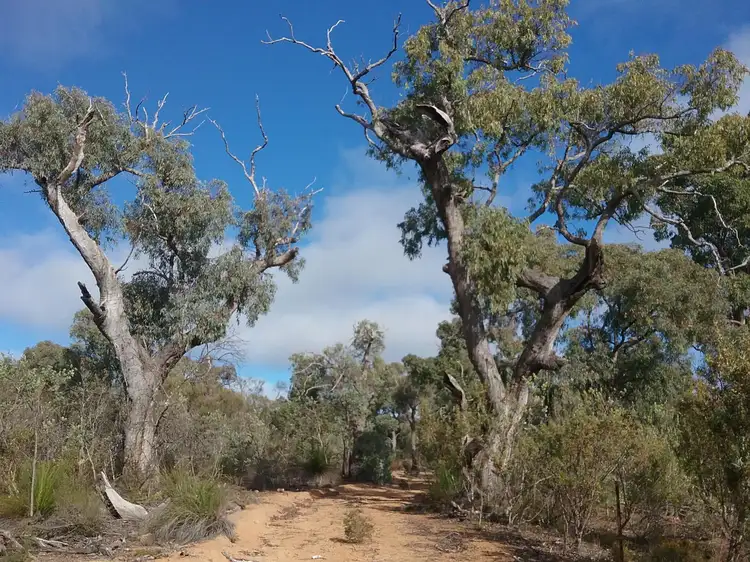 Fifth view of Homely land listing, 130 Powder Bark Rd, Toodyay WA 6566