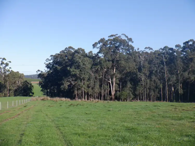 Seventh view of Homely rural property listing, Lot 1107 Wetherall Road, Pemberton WA 6260