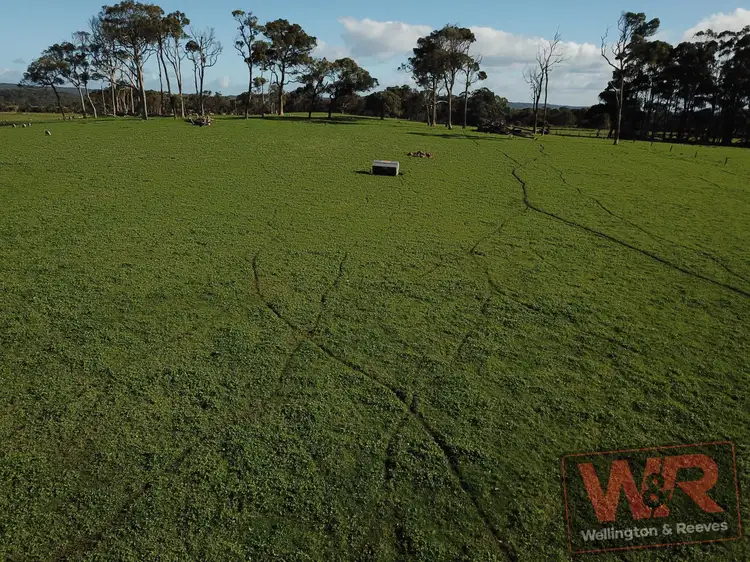 Fourth view of Homely rural property listing, 115 Freeborough Road, Youngs Siding WA 6330