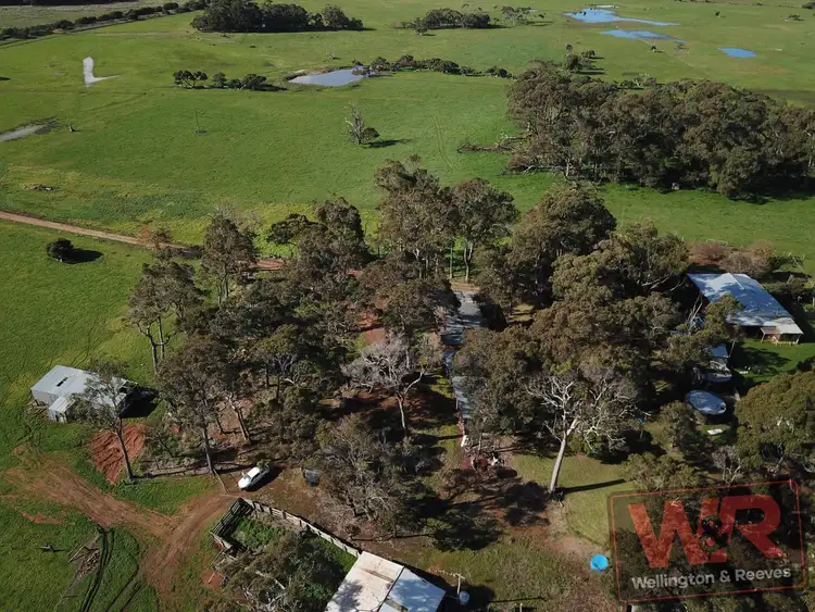 Sixth view of Homely rural property listing, 115 Freeborough Road, Youngs Siding WA 6330