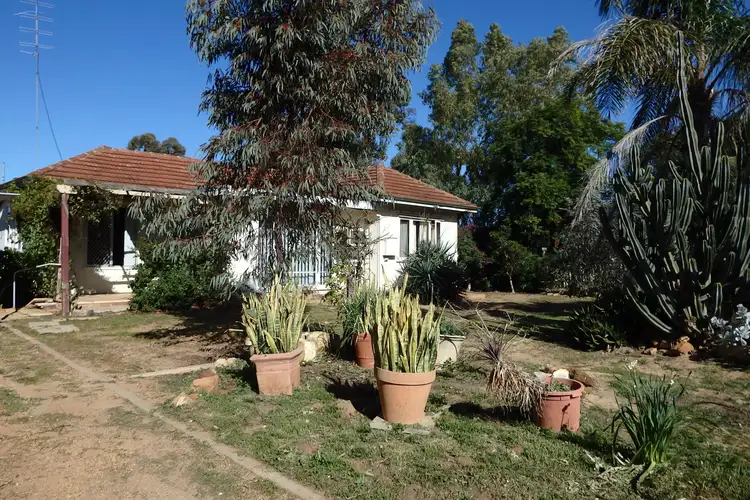 7 Mckeever Street
