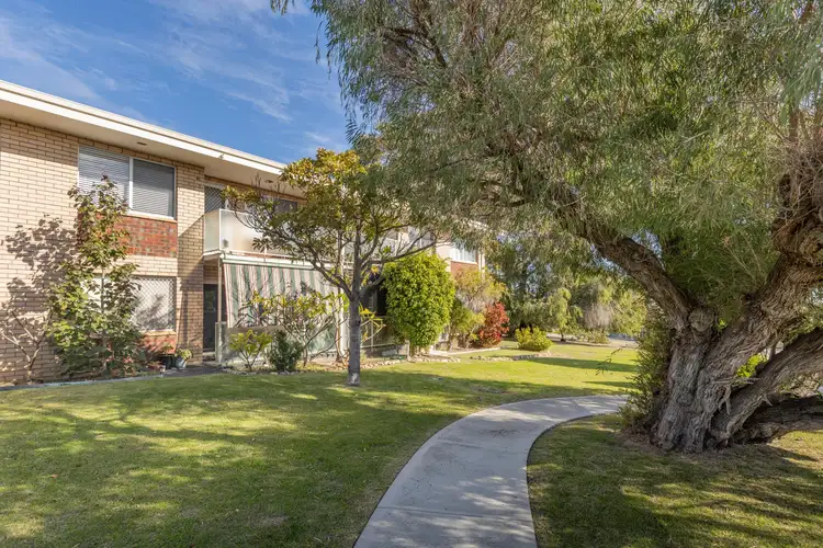 Main view of Homely unit listing, 5A/4 Villiers Street, Yokine WA 6060