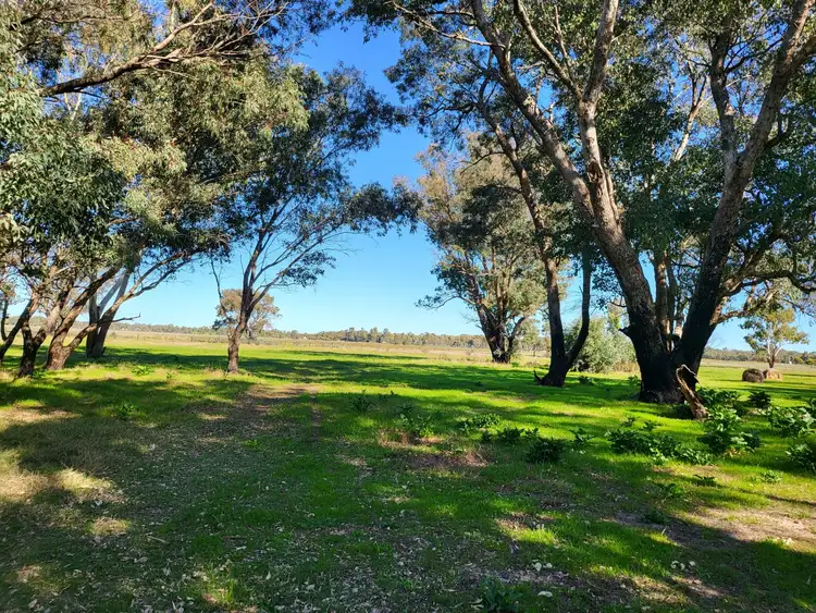 Seventh view of Homely rural property listing, 229 Serpentine Rd, Baldivis WA 6171