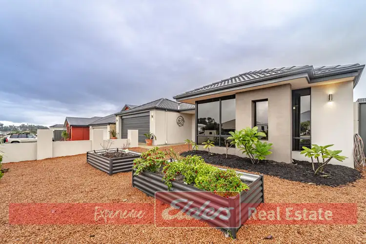 Fourth view of Homely house listing, 15 Fairchild Drive, Baldivis WA 6171