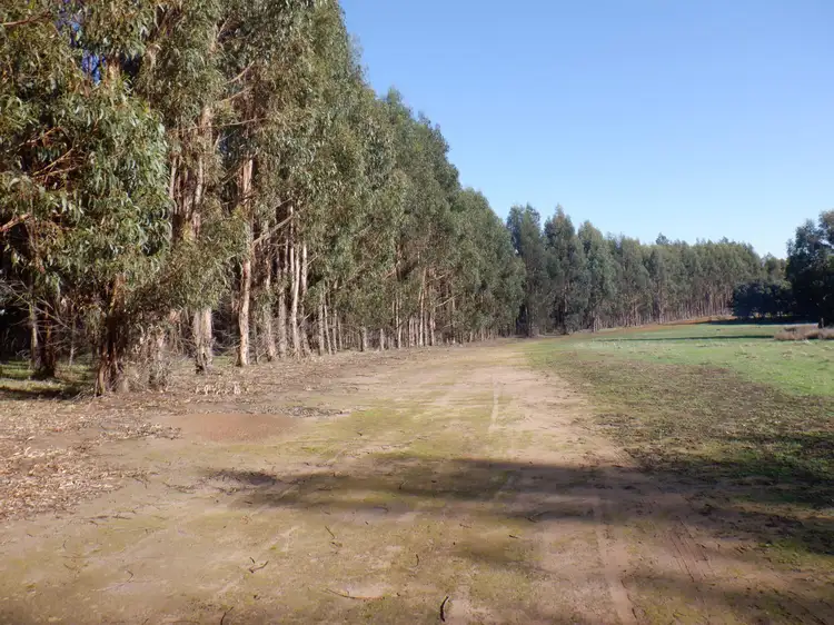 Main view of Homely rural property listing, Lots 3 & 7 Pomeroy Road, Manjimup WA 6258