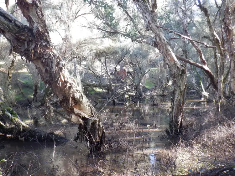 Third view of Homely rural property listing, Lots 3 & 7 Pomeroy Road, Manjimup WA 6258