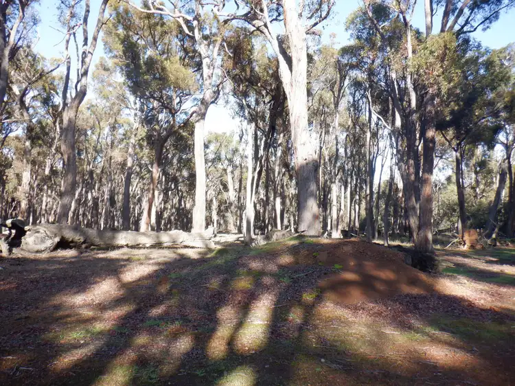 Fourth view of Homely rural property listing, Lots 3 & 7 Pomeroy Road, Manjimup WA 6258