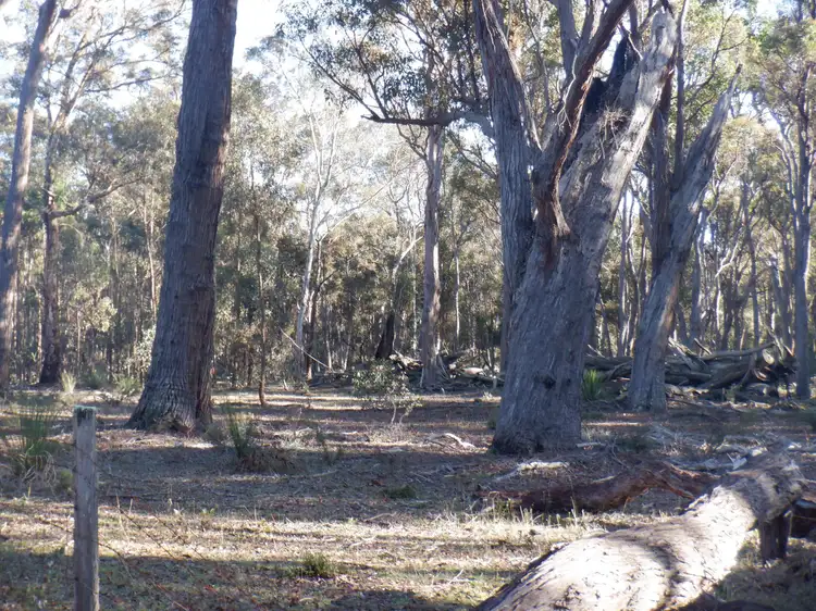 Seventh view of Homely rural property listing, Lots 3 & 7 Pomeroy Road, Manjimup WA 6258