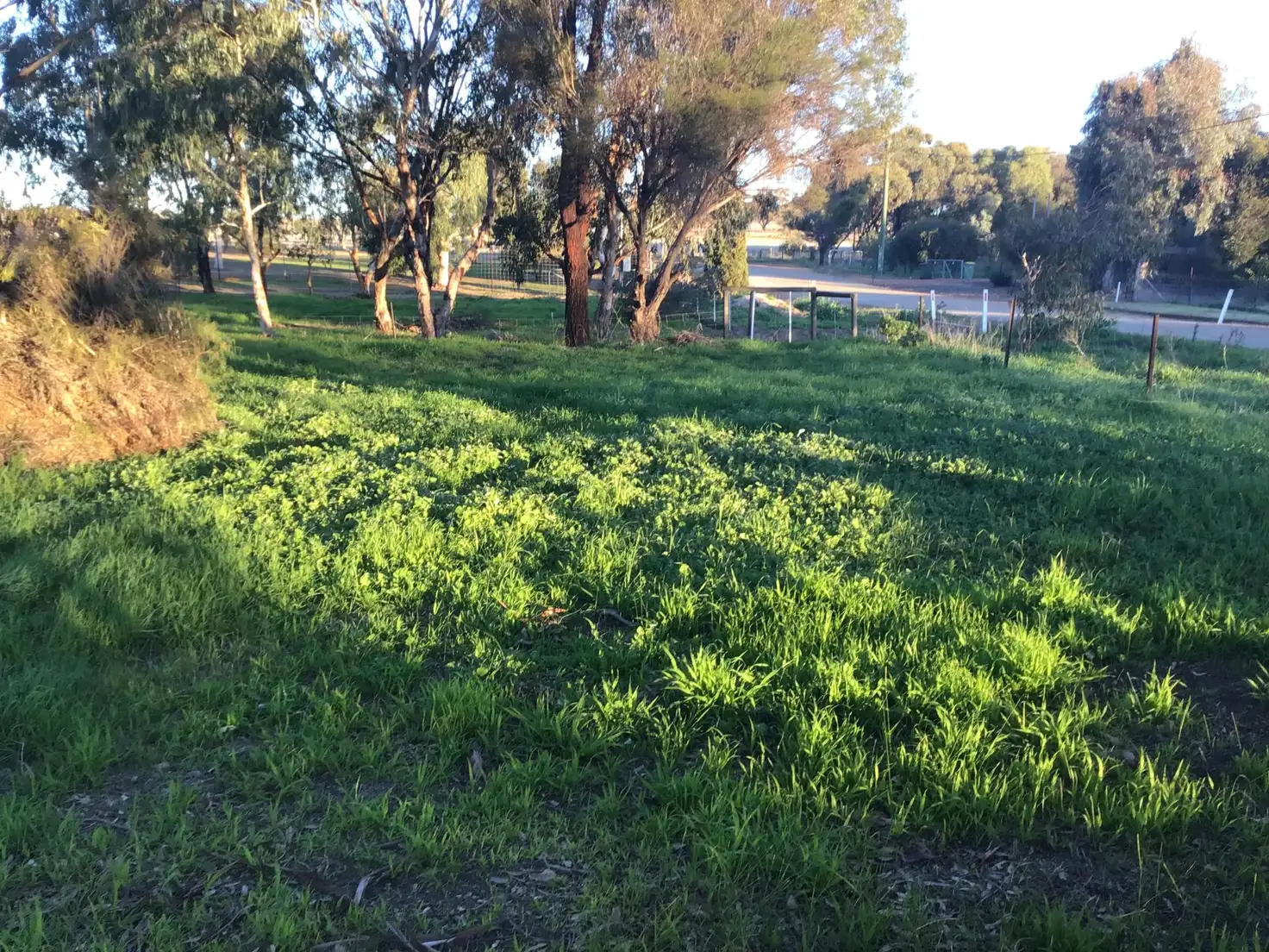 Main view of Homely land listing, 23 Robinson St, Spencers Brook WA 6401