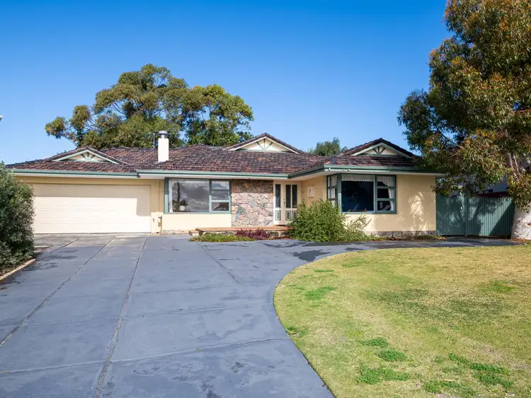 7 Menner Court, Scarborough WA 6019