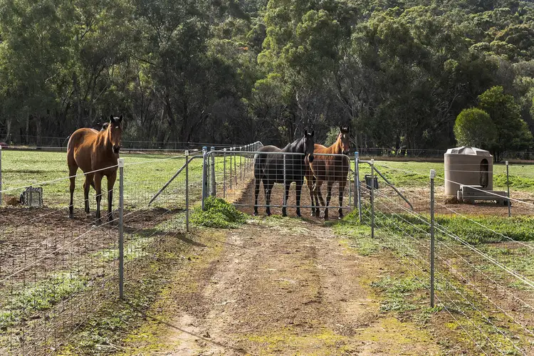 Seventh view of Homely house listing, 279 Howard Rd, Toodyay WA 6566