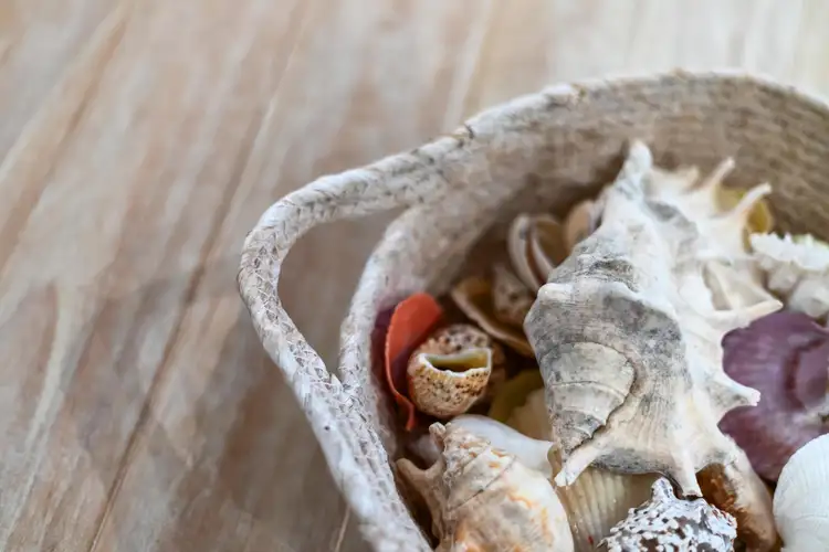 Third view of Homely house listing, 36/220 Fairway Circle, Connolly WA 6027