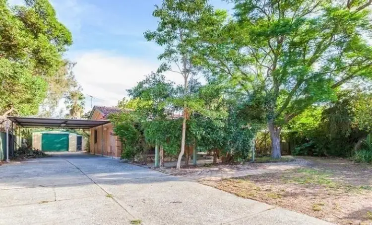Main view of Homely house listing, 14 Detling Court, Kelmscott WA 6111