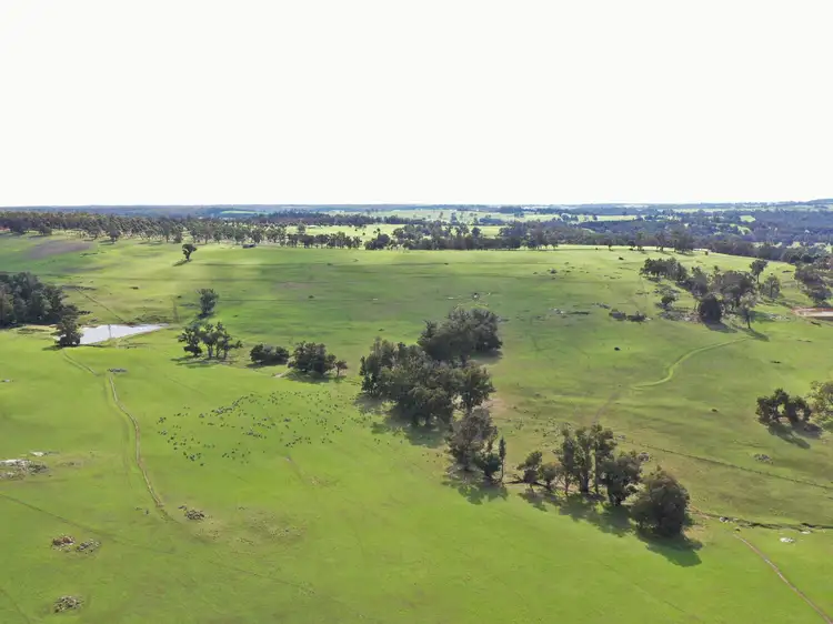 Second view of Homely rural property listing, 38 Farleigh Road, Boyup Brook WA 6244