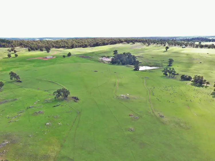 Third view of Homely rural property listing, 38 Farleigh Road, Boyup Brook WA 6244