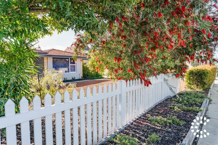 Main view of Homely house listing, 79 Gibson Street, Beaconsfield WA 6162