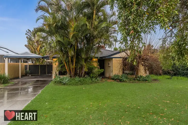 Main view of Homely house listing, 3 Annois Road, Bibra Lake WA 6163