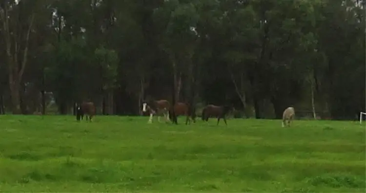 Third view of Homely land listing, Lot 26 Dairy Link, Mardella WA 6125