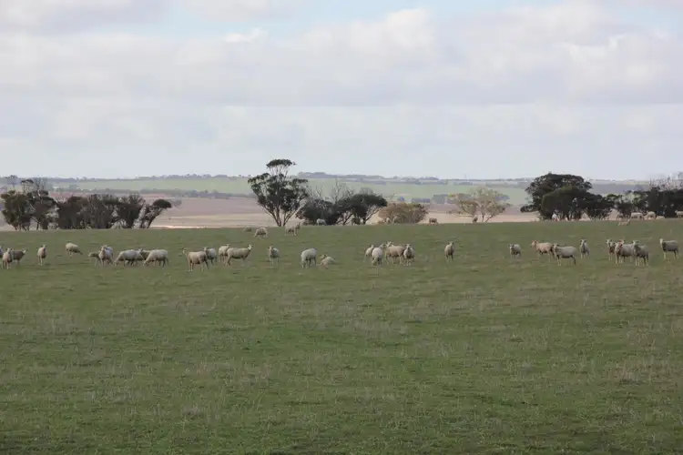 Main view of Homely rural property listing, 1581 Henderer Road, Pingaring WA 6357