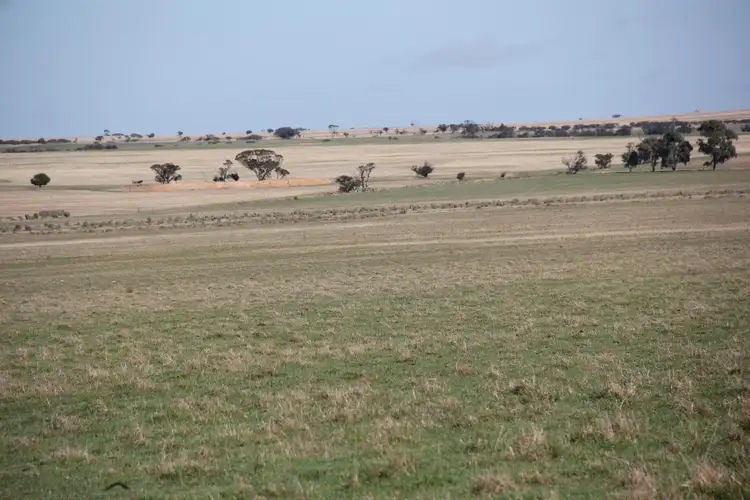 Third view of Homely rural property listing, 1581 Henderer Road, Pingaring WA 6357