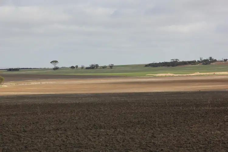 Sixth view of Homely rural property listing, 1581 Henderer Road, Pingaring WA 6357