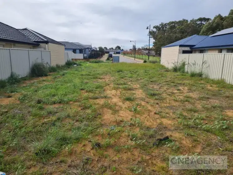 49 Cappuccino Drive, Baldivis WA 6171